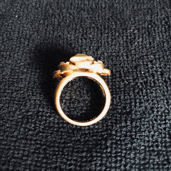 Lia Sophia "Compass" Necklace & Ring Set - Picture 5 of 9